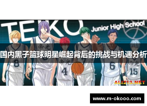 国内黑子篮球明星崛起背后的挑战与机遇分析