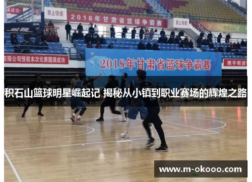 积石山篮球明星崛起记 揭秘从小镇到职业赛场的辉煌之路