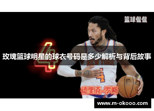 玫瑰篮球明星的球衣号码是多少解析与背后故事