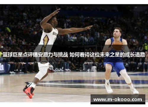 篮球巨星点评锡安潜力与挑战 如何看待这位未来之星的成长道路
