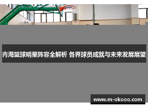 青海篮球明星阵容全解析 各界球员成就与未来发展展望