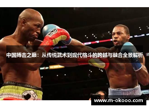 中国搏击之巅：从传统武术到现代格斗的跨越与融合全景解析